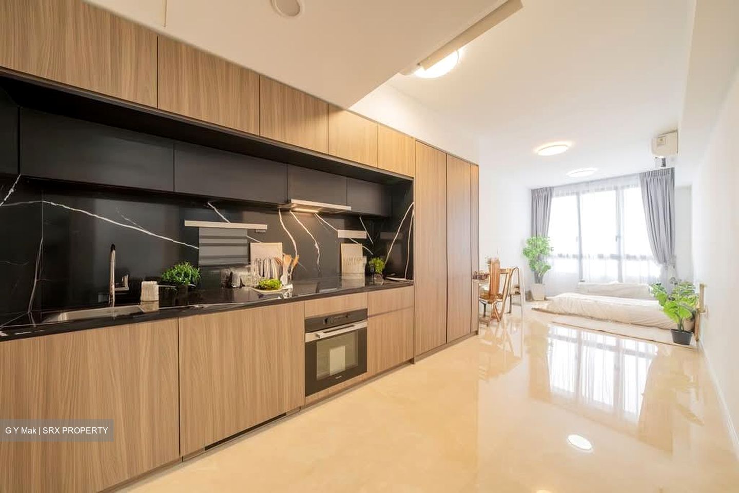 Irwell Hill Residences (D9), Apartment #529599651